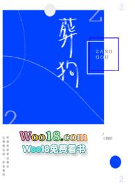 葬狼短剧免费观看全集完整版